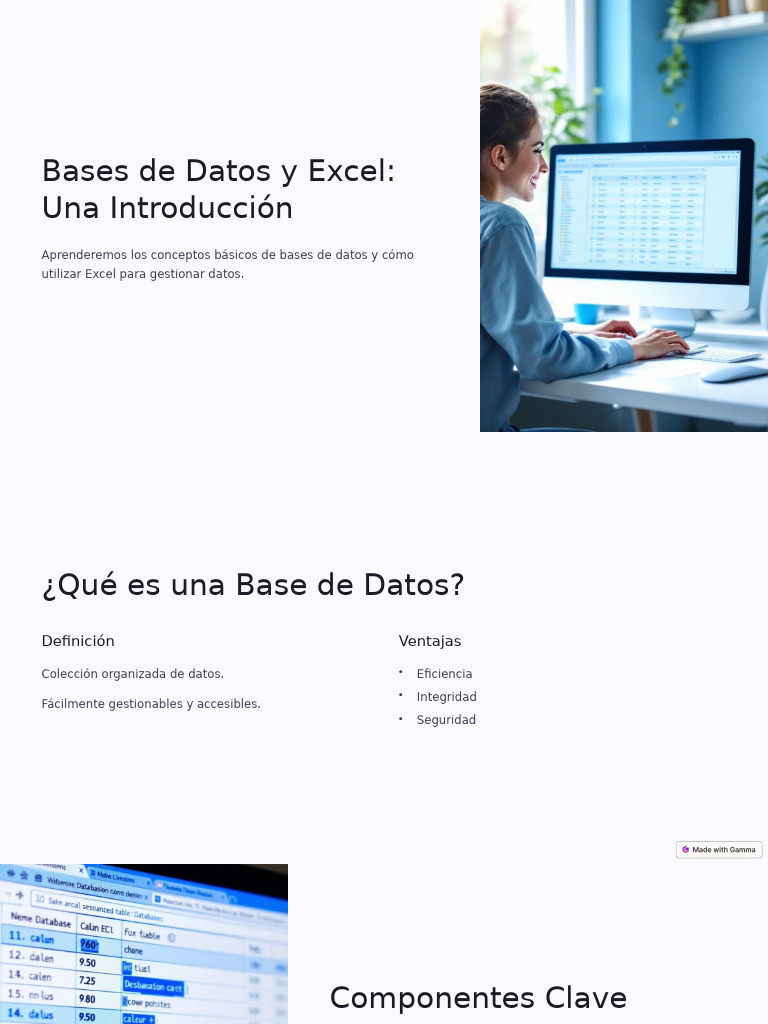 Introducción a Bases de Datos y Excel | PDF