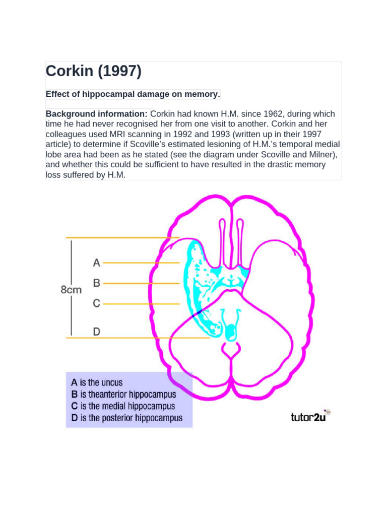 Corkin's 1997 Study on H.M.'s Hippocampus | PDF | Hippocampus | Memory