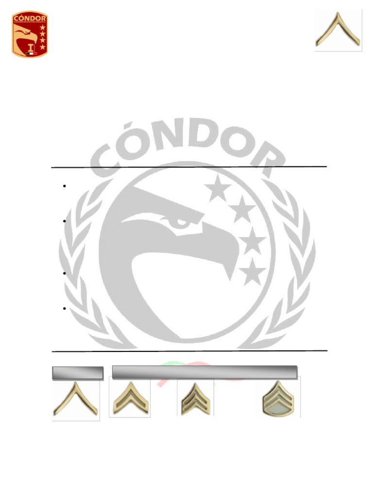 Guía para Cadetes del Escuadrón Cóndor | PDF