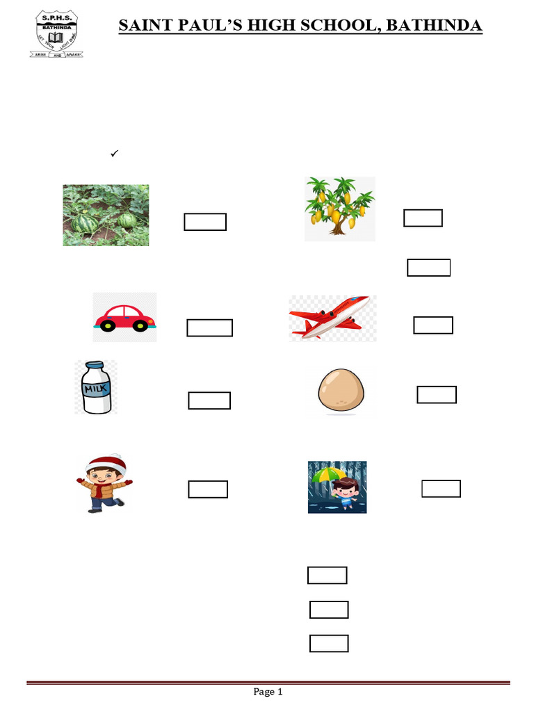 Evs Revision Worksheet 1 Pdf