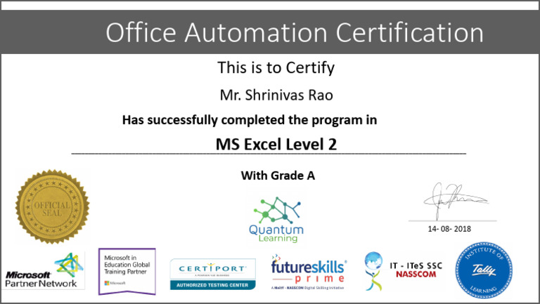 MS Excel Level 2 Certification - Grade A | PDF
