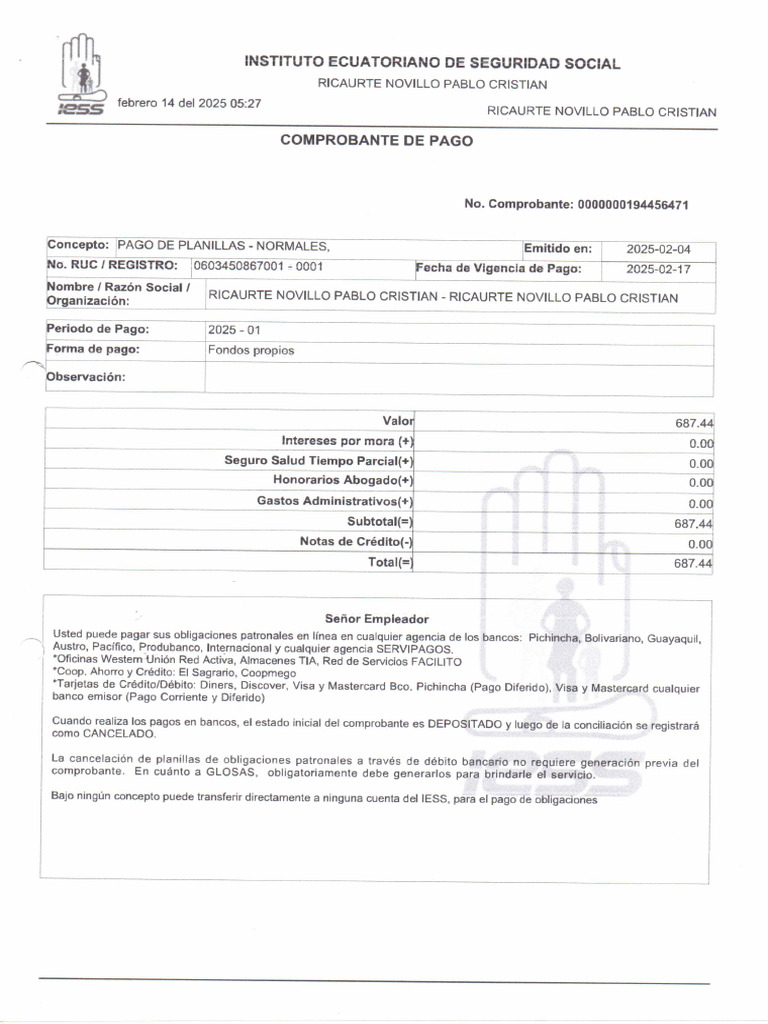 Iess Pablo Ricaurte | PDF