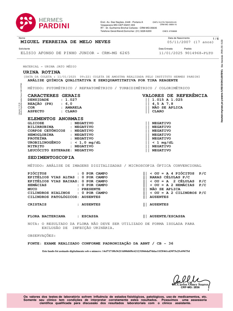Laudo de Exames Laboratoriais 2025 | PDF | Química | Ciências Físicas