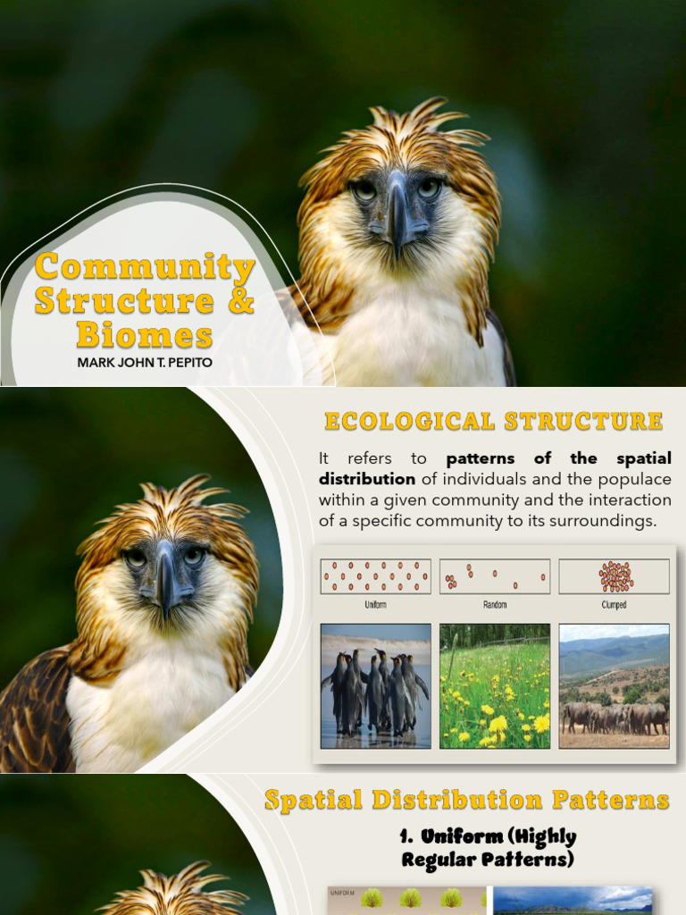 Forest Biomes and Community Structure | PDF | Forests | Grassland