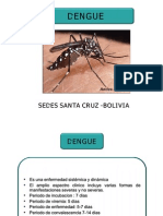 Dengue Capacitacion