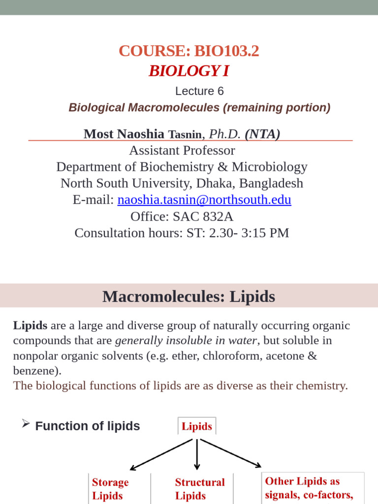 lec+06_NTA_BM_04.02.2025 | PDF | Dna | Nucleic Acids