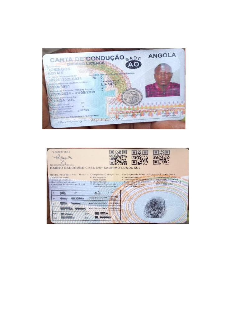 Carta Condução Test | PDF