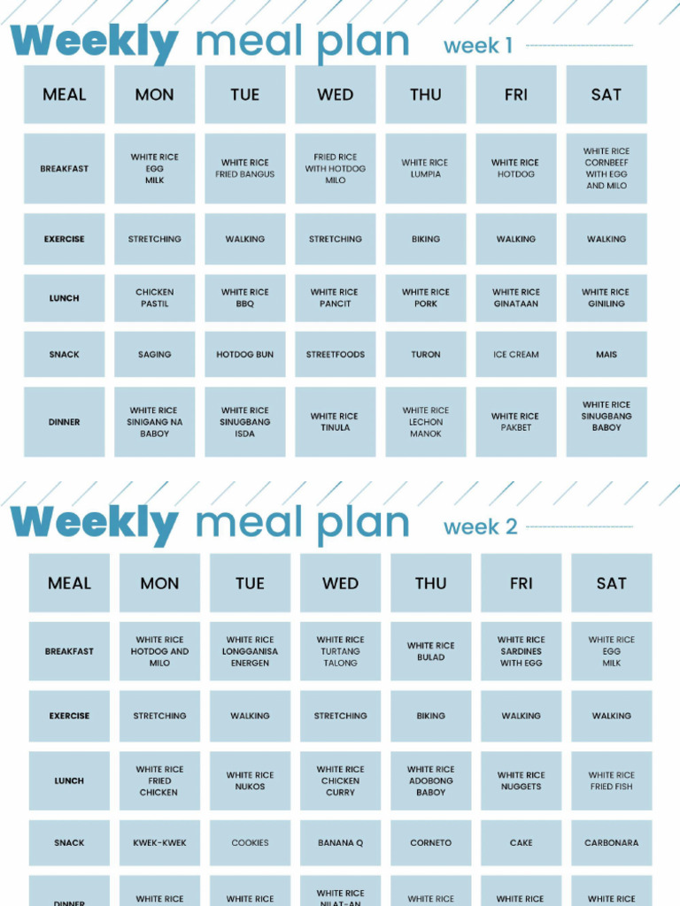 Meal Plan | PDF
