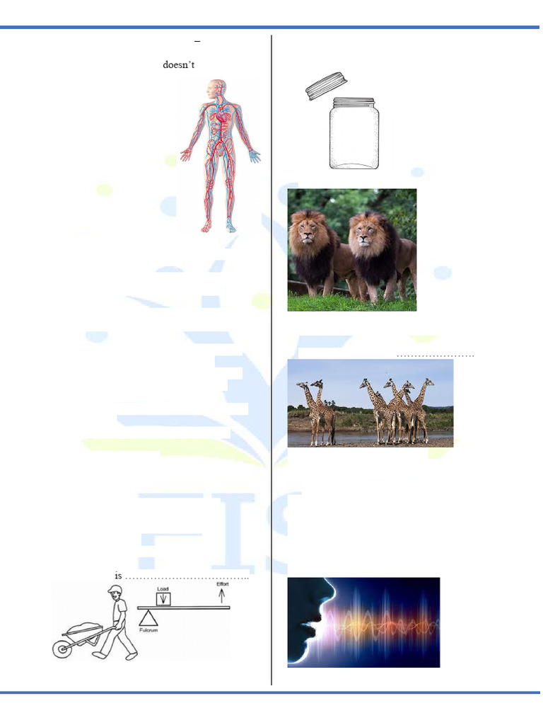 Grade 5-6 Science Exam Sample Test | PDF | Yarn | Circulatory System