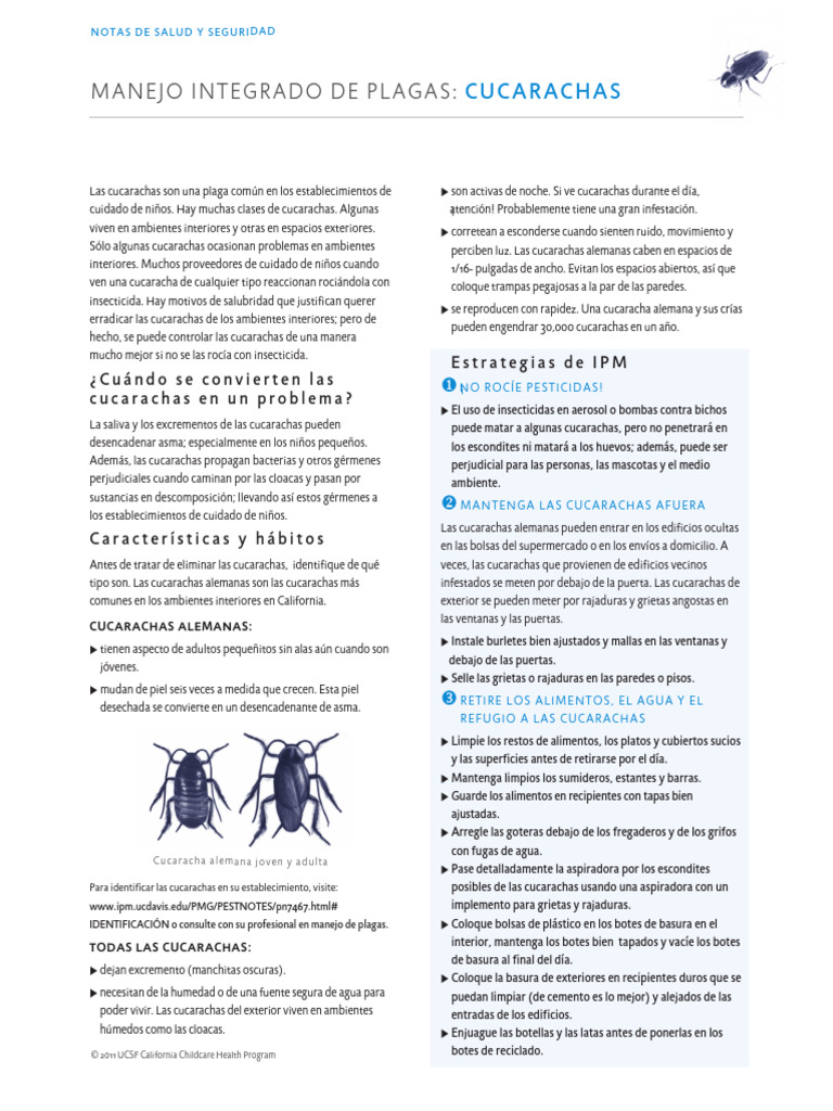 Ipmnotesnotasdesaludyseguridadspanish Cucarachas Cockroaches | PDF