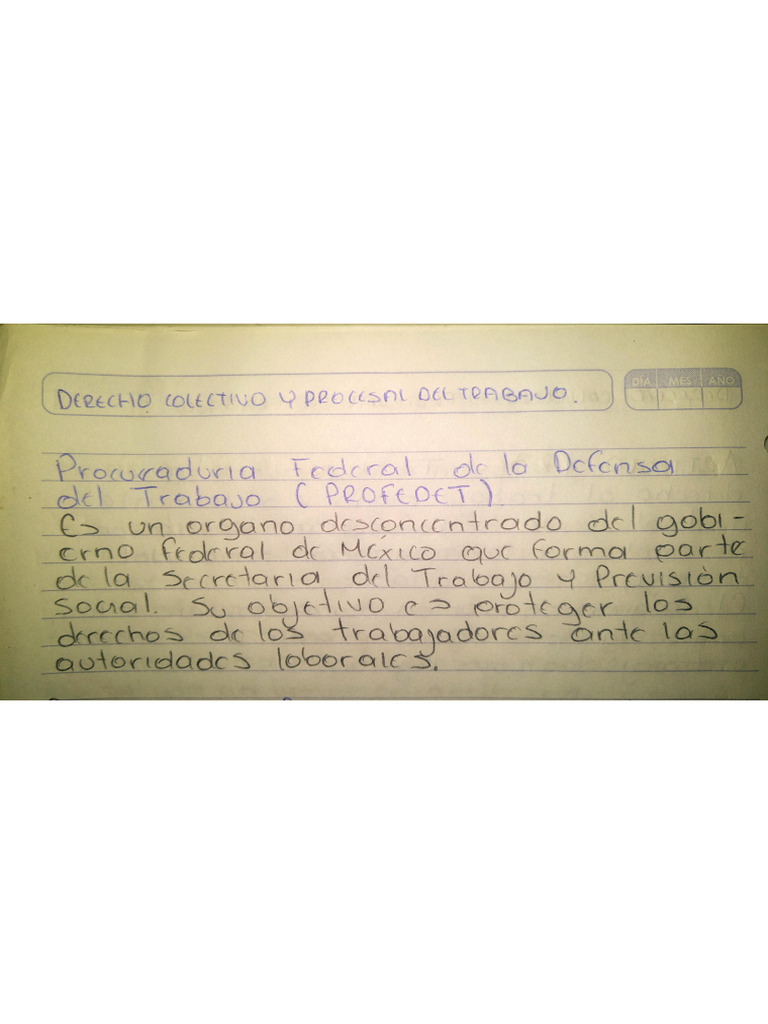 Profe Det | PDF