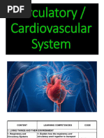 Overview of the Circulatory System | PDF | Blood Vessel | Heart