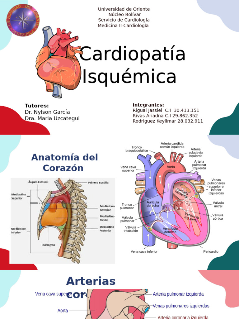 Cardiopatía Isquémica: Causas y Tratamientos | PDF | Infarto de ...