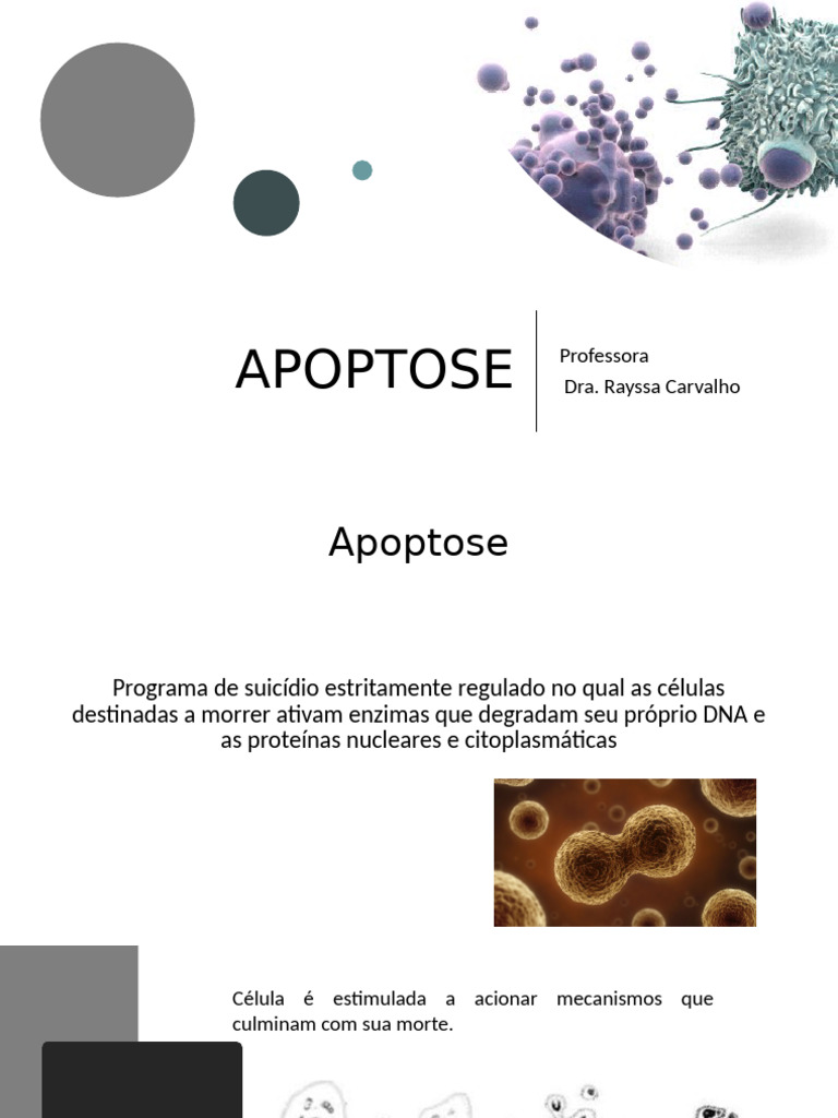 Entendendo a Apoptose: Mecanismos e Funções | PDF | Apoptose | Caspase