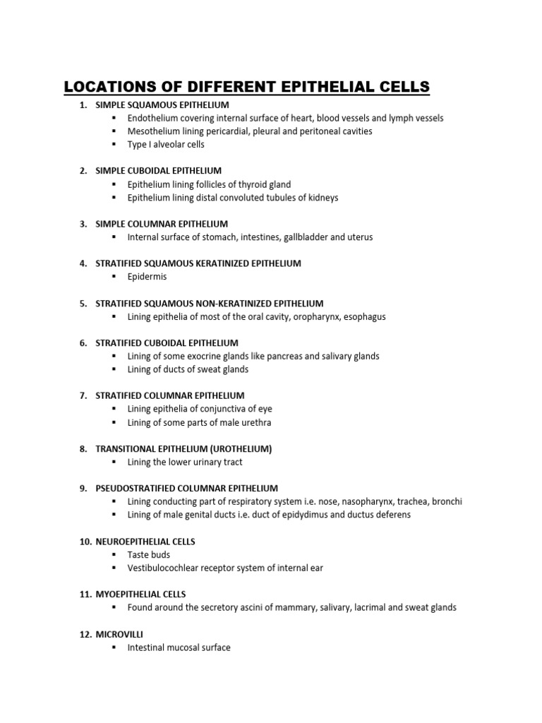 Locations of Different Epithelial Cells | PDF | Epithelium | Anatomy