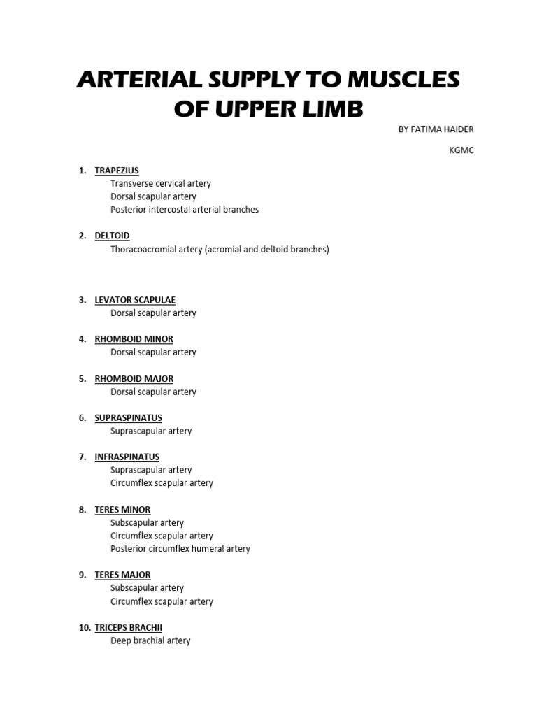 Arterial Supply To Muscles of Upper Limb - 0 | PDF | Thumb ...