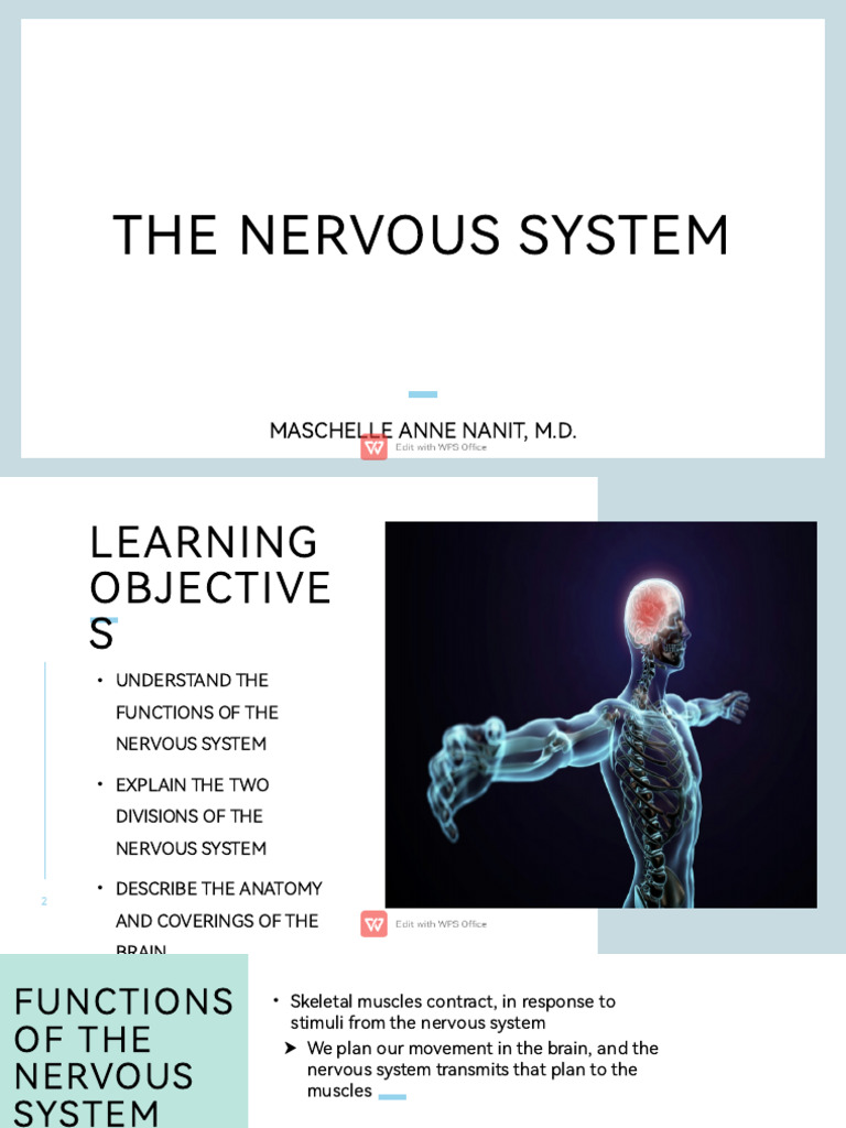 Overview of the Nervous System Functions | PDF | Cerebrospinal Fluid ...