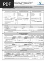 Form. 351 Inscripción y Actualización V03 | PDF | Business