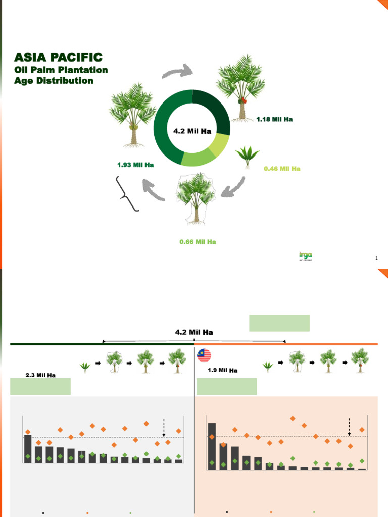 Malaysia Plantation Statistics - Final (2024.06.20) | PDF | Palm Oil