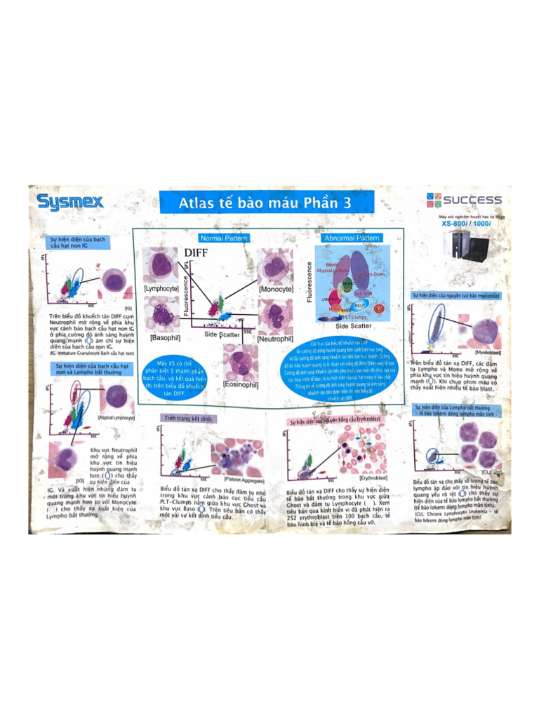Sysmex | PDF