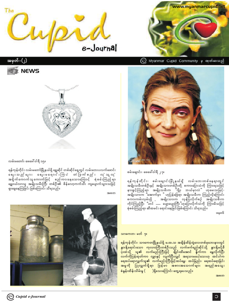 MMCP Journal2 | PDF