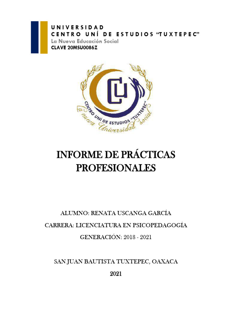Informe de Prácticas Profesionales Tuxtepec | PDF
