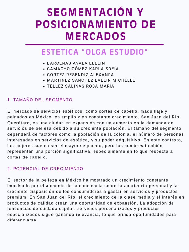 Segmentación y Posicionamiento de Mercados | PDF | Marketing ...
