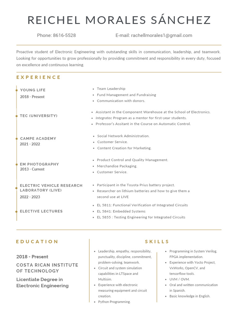 Electronic Engineering Student Profile | PDF
