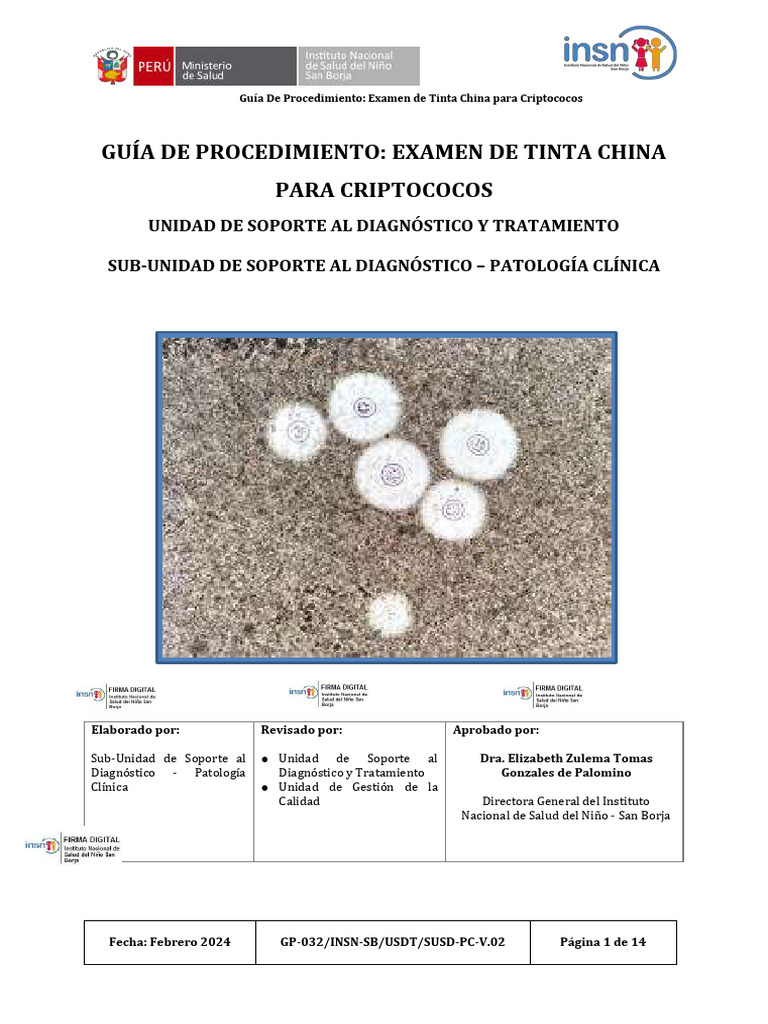 GP 032-EXAMEN DE TINTA CHINA PARA CRIPTOCOCOSdocxFFF | PDF | VIH ...
