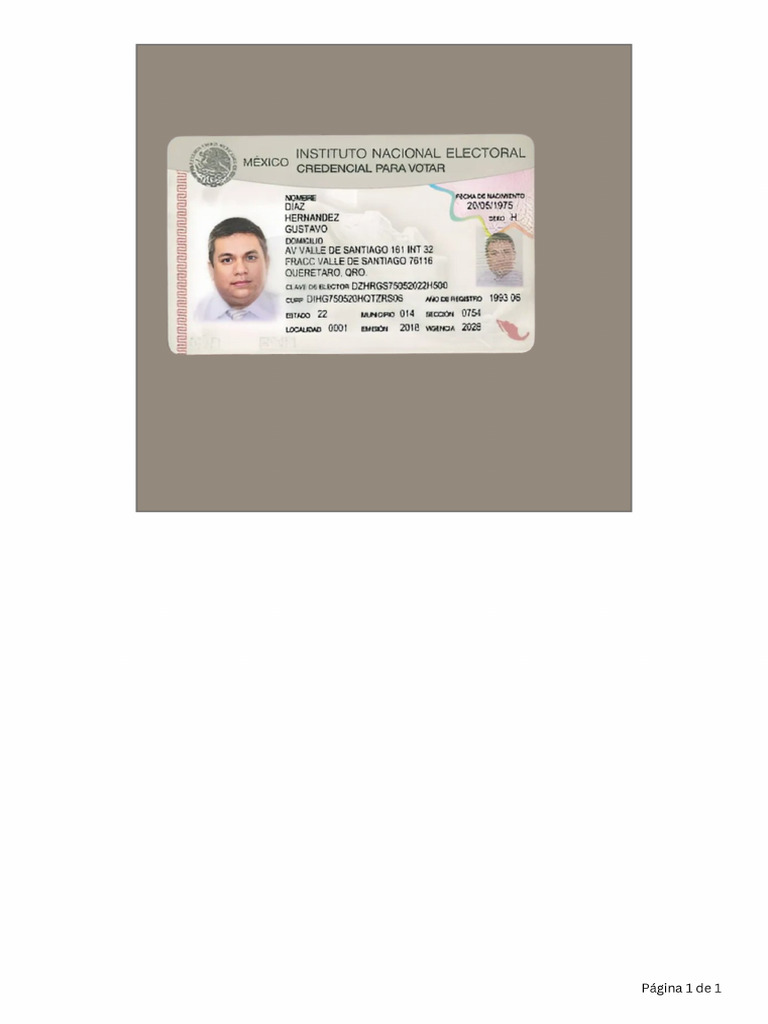 INE para Pedir Créditos | PDF