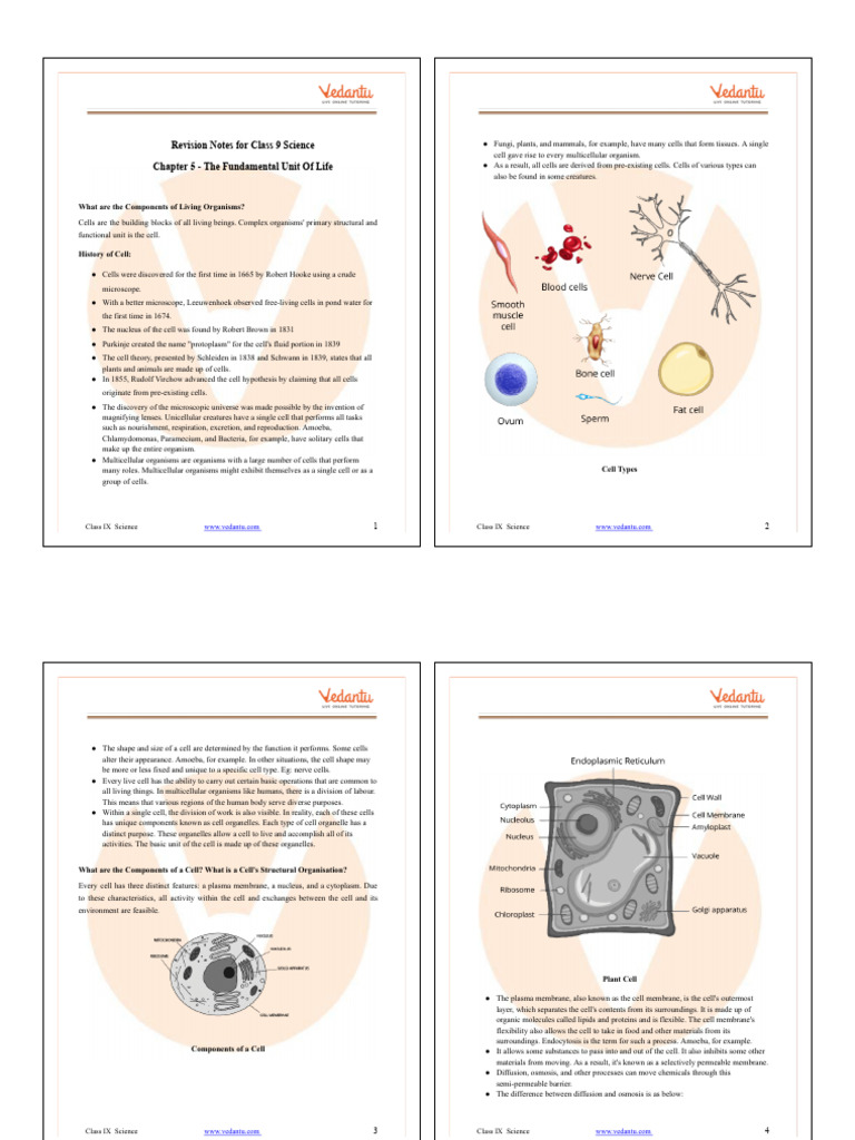 Class 9 Science: Fundamental Unit of Life | PDF | Cell (Biology ...