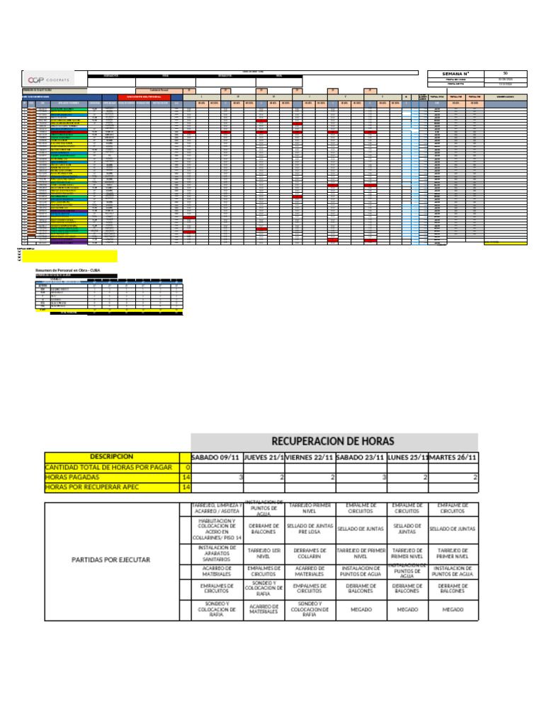 Formato Tareo de Personal - Proyecto Cuba Semana 02 Al 07 de Diciembre ...