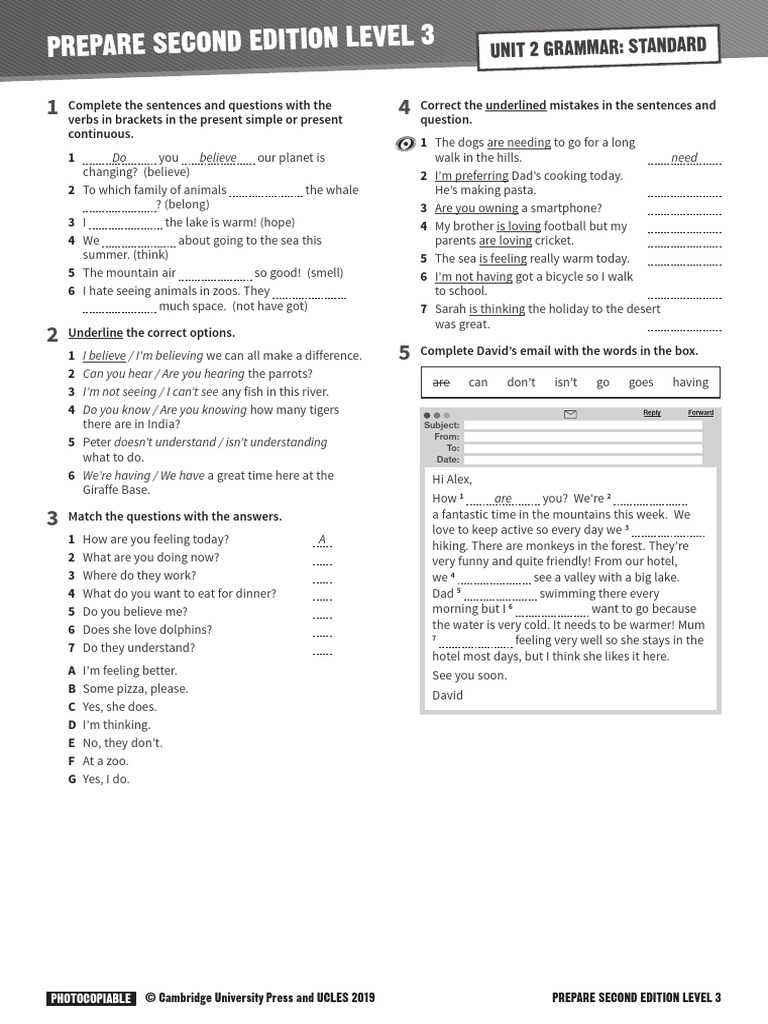 Grammar Exercises for Level 3 Students | PDF