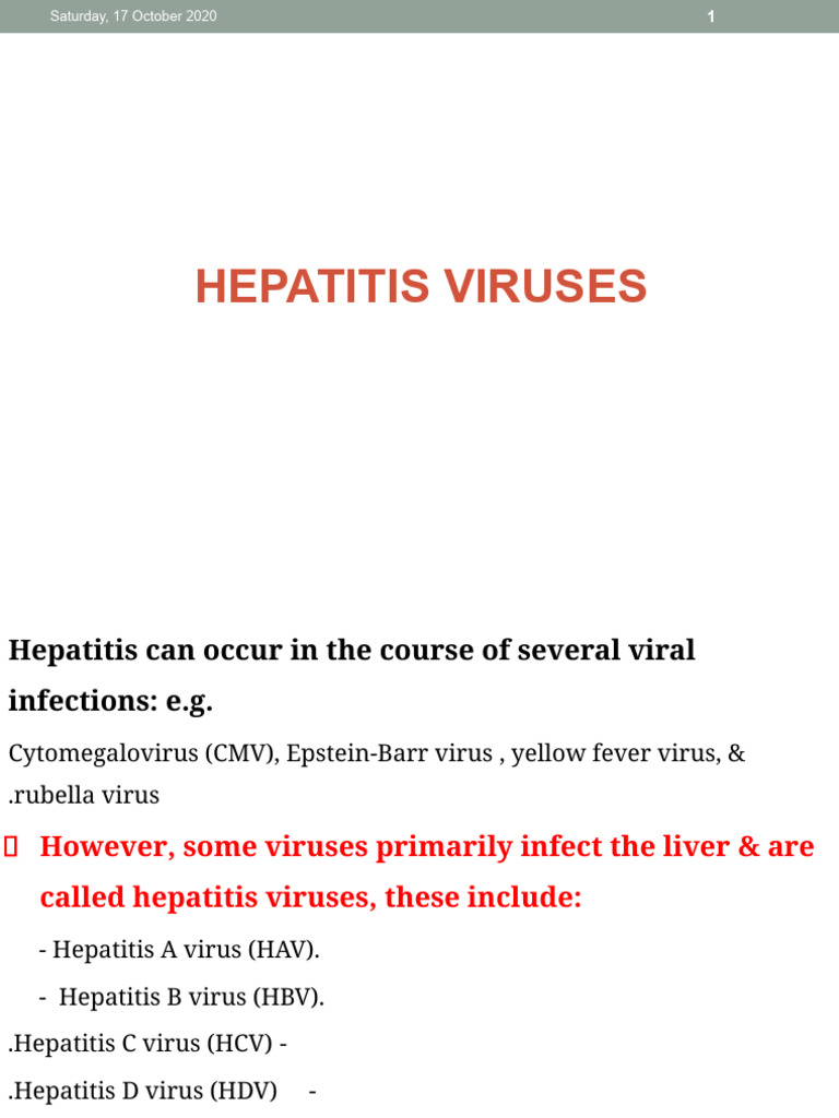 Overview of Hepatitis Viruses and Infections | PDF | Hepatitis B ...