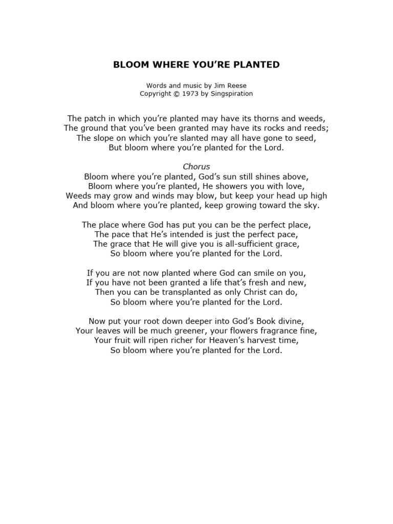 Bloom Where You're Planted Lyrics | PDF