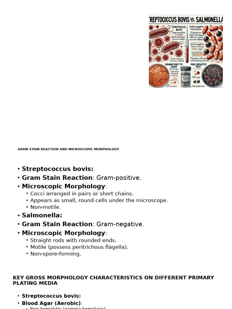 Gram Stain and Morphology of Bacteria | PDF