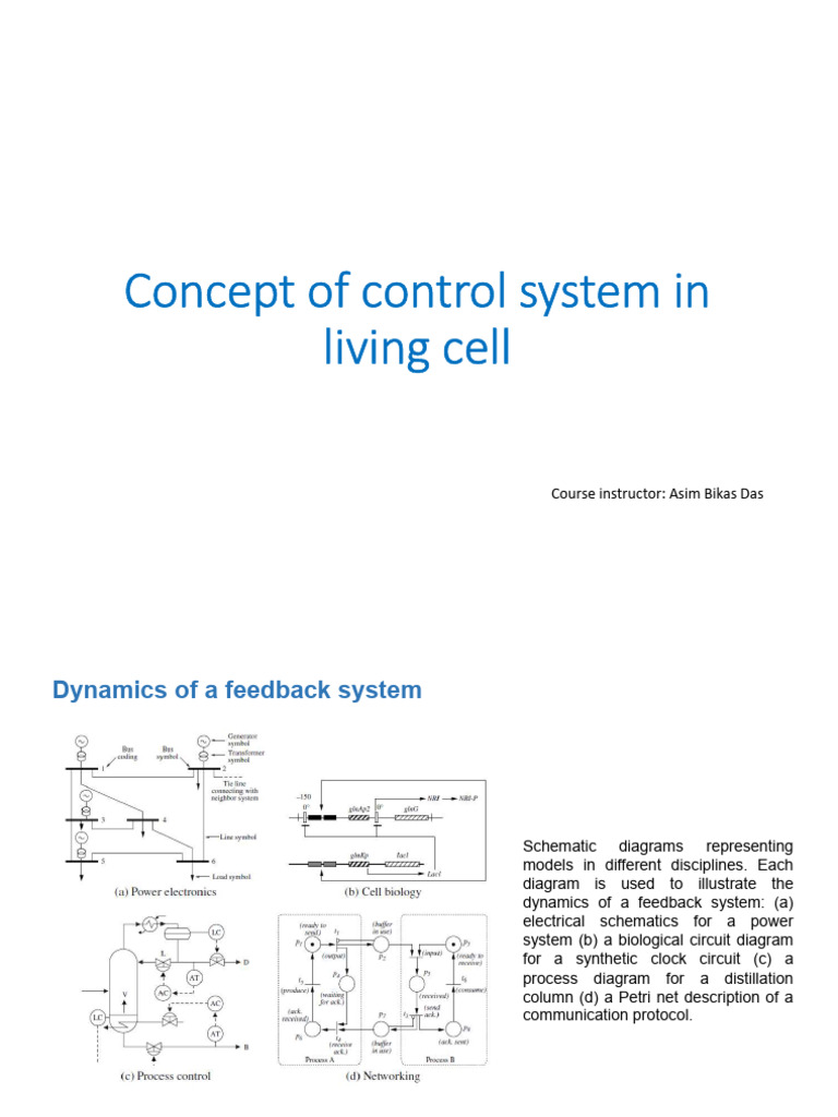 Cell Cycle Control & Gene Regulation | PDF | Operon | Cell Cycle