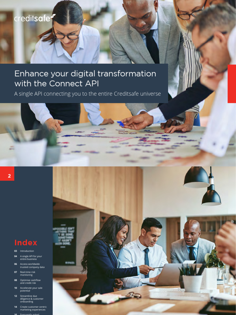 Creditsafe Connect API Overview | PDF | Databases | Customer ...