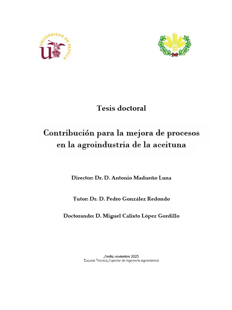?UTF-8?Q?L C3 B3pez Gordillo, Miguel Tesis | PDF | Hidróxido de sodio ...