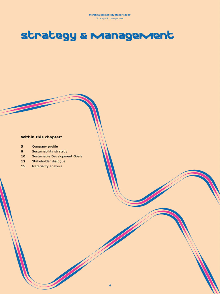 Strategy Management | PDF | Sustainability | Corporate Social ...