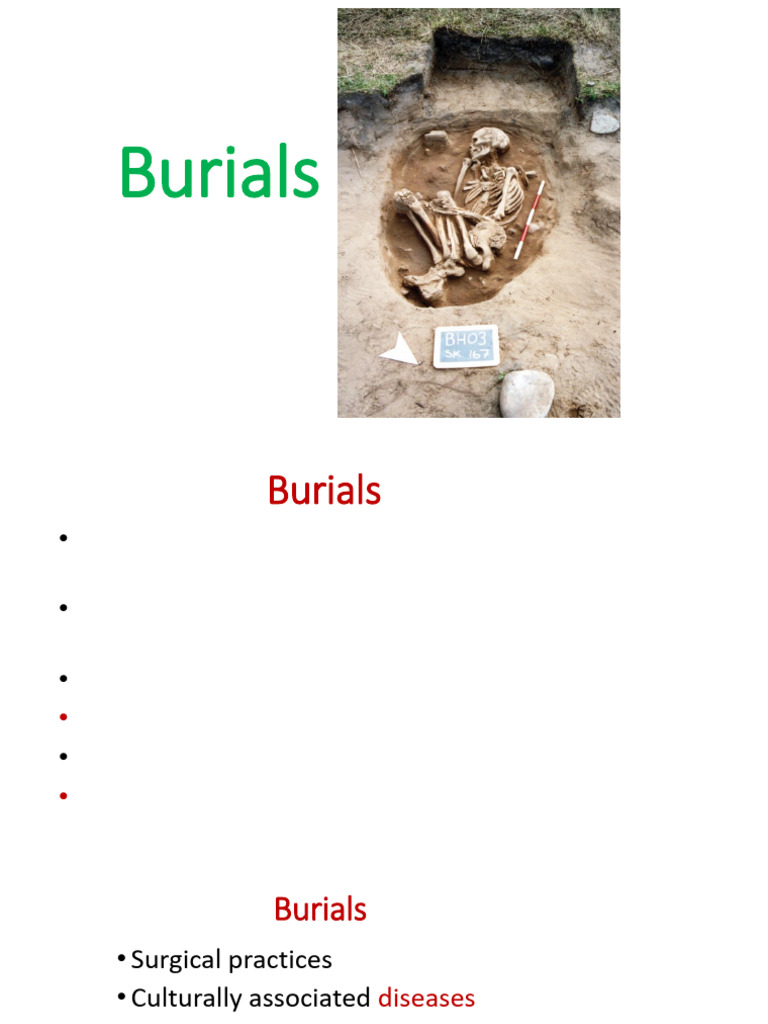 Understanding Burial Practices and Archaeology | PDF | Burial | Archaeology