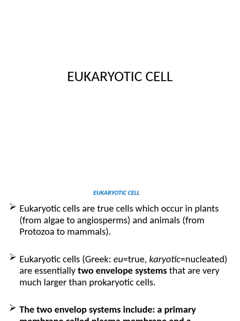 Bio 101 Eukaryotes Part 1 PDF | PDF | Endoplasmic Reticulum | Cytoplasm