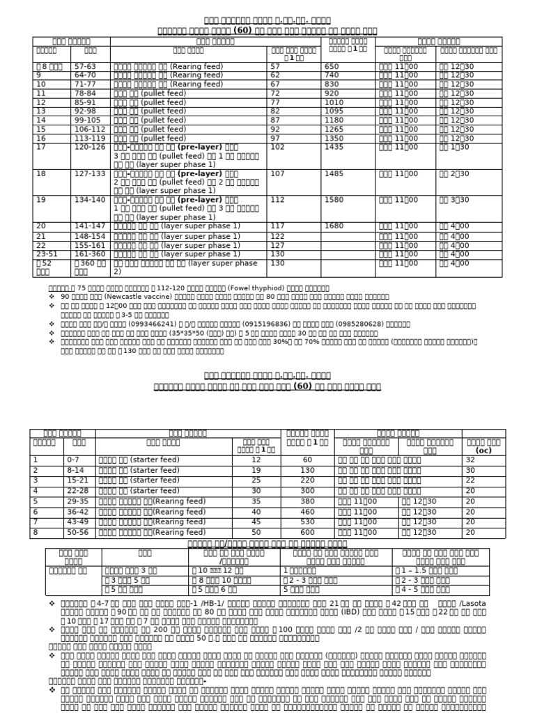 Image showcasing Feeding Schedule Chicken | PDF