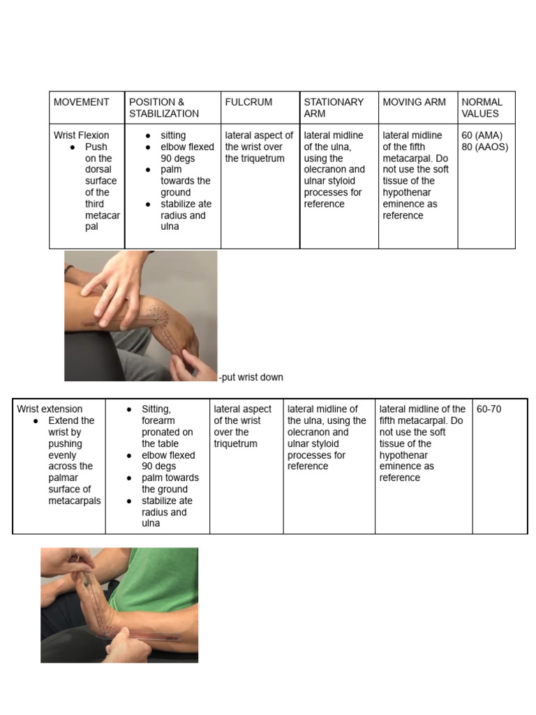 Wrist and Finger Movement Assessment Guide | PDF | Anatomical Terms Of ...