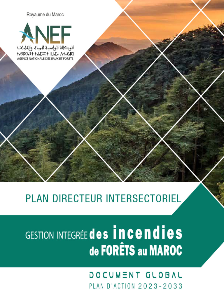 Plan d'Action Incendies Forêts Maroc 2023-2033 | PDF | Feu de forêt | Forêt