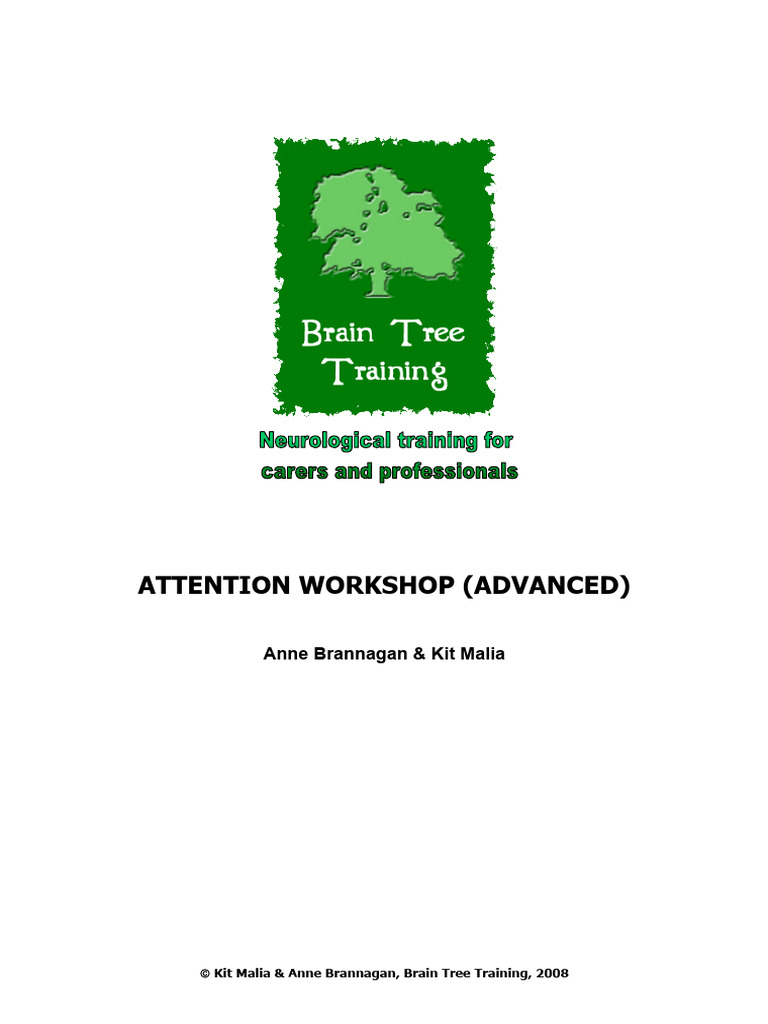Advanced Attention Workshop Overview | PDF | Attention | Executive ...