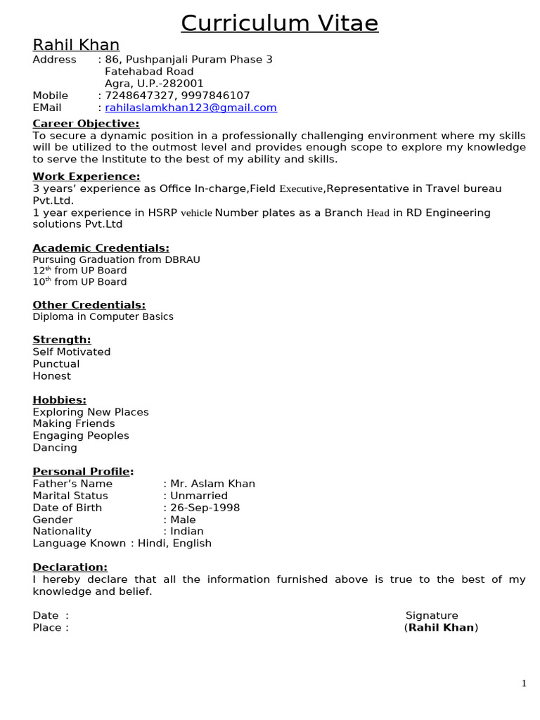 Rahil Khan's Professional CV | PDF