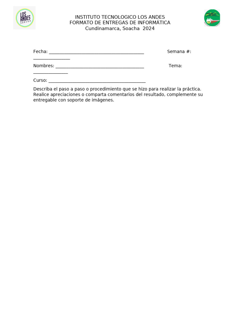 Formato de Entrega de Informes Informatica | PDF