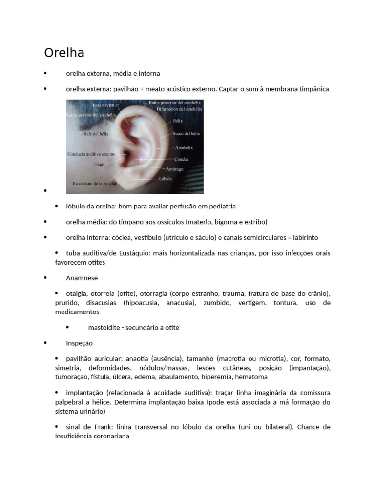 Anatomia e Exame da Orelha | PDF | Orelha | Audição