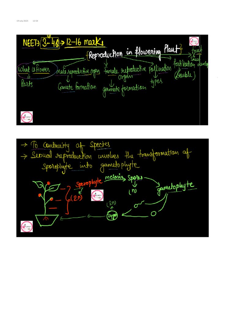 class 12_ch2_colourful chhotu notes_concept box_Neha mam | PDF